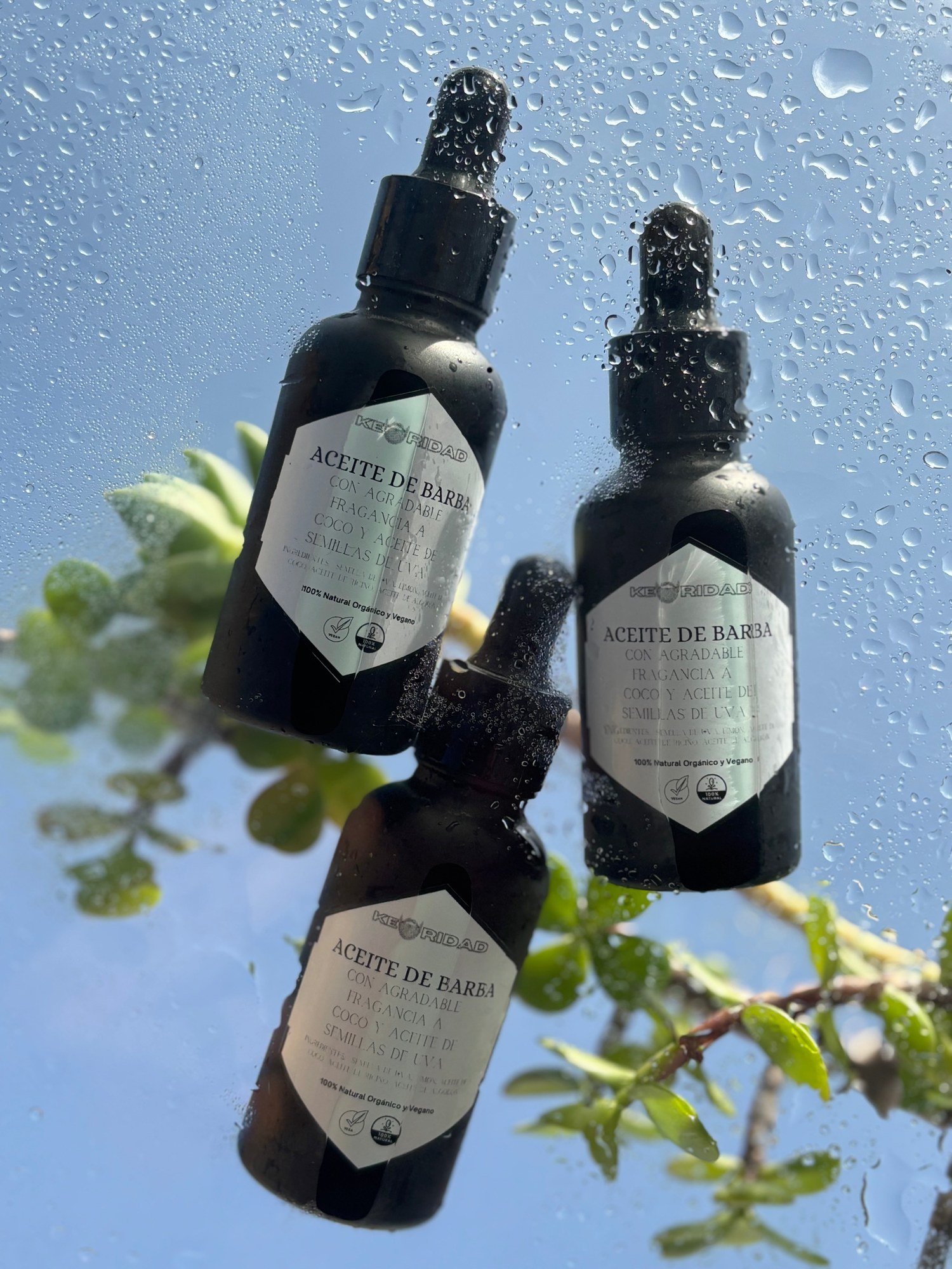 Botes de aceite de barba con gotas de agua, junto a una planta.